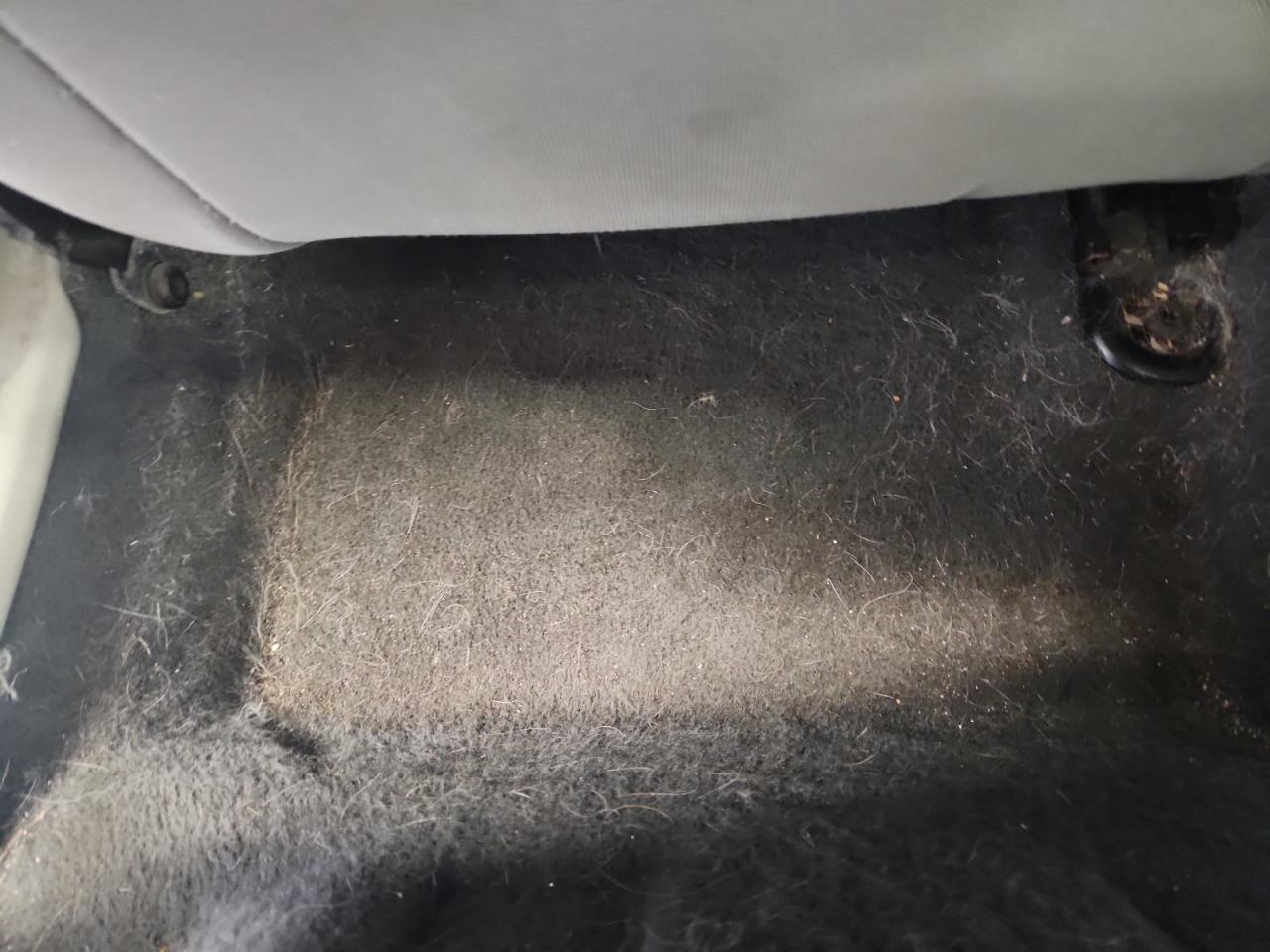2012 Ford Focus Se Gray vin: 1FAHP3F26CL253521 Damage: Left Rear Carpet, Stained, Permanent