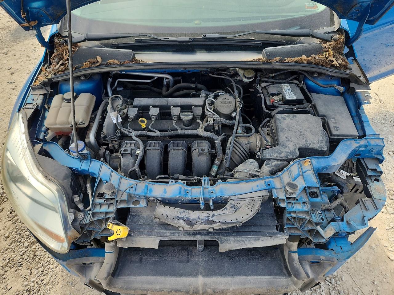 2012 Ford Focus Se Blue vin: 1FAHP3F26CL273199