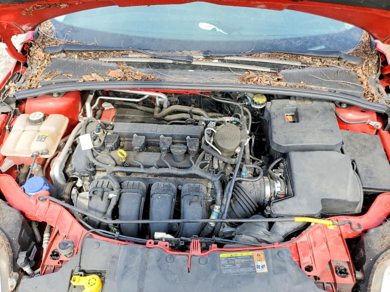 2012 Ford Focus Se Red vin: 1FAHP3F27CL265063