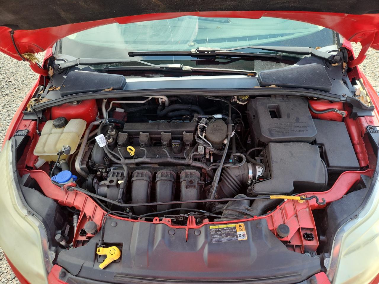 2012 Ford Focus Se Красный vin: 1FAHP3F2XCL187796