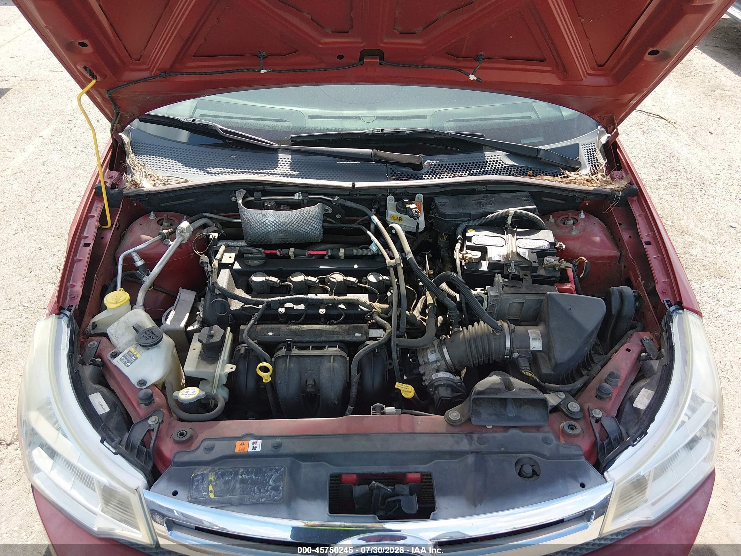 2010 Ford Focus Se Red vin: 1FAHP3FN2AW279460