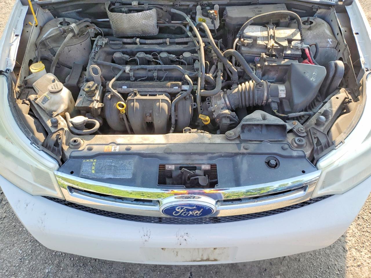 2010 Ford Focus Se White vin: 1FAHP3FN2AW284156