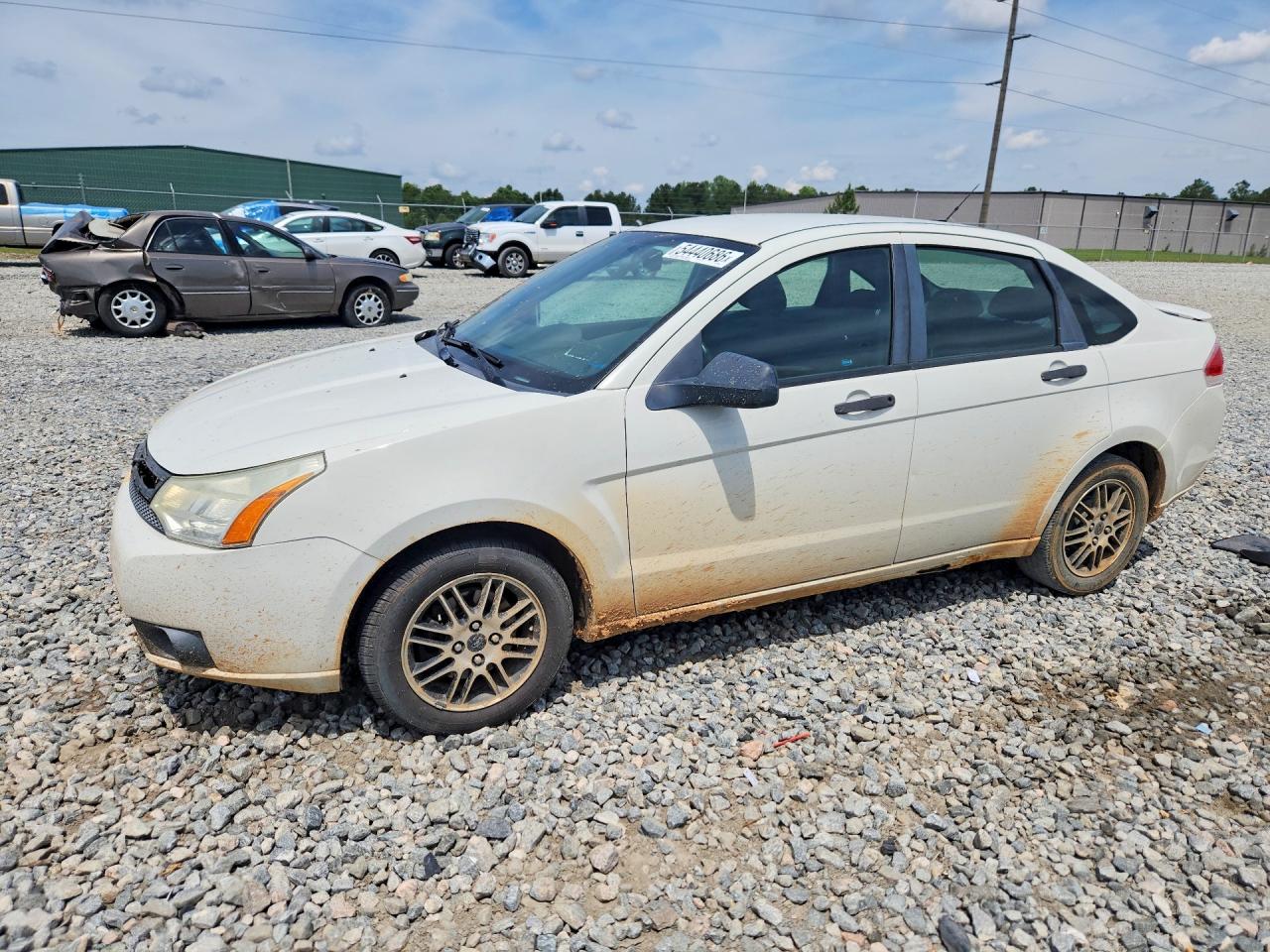2010 Ford Focus Se Белый vin: 1FAHP3FN5AW120125