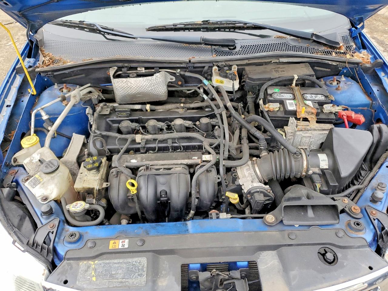 2011 Ford Focus Se Blue vin: 1FAHP3FN6BW146072