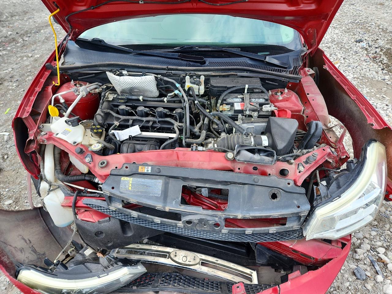 2010 Ford Focus Red vin: 1FAHP3FN8AW116313