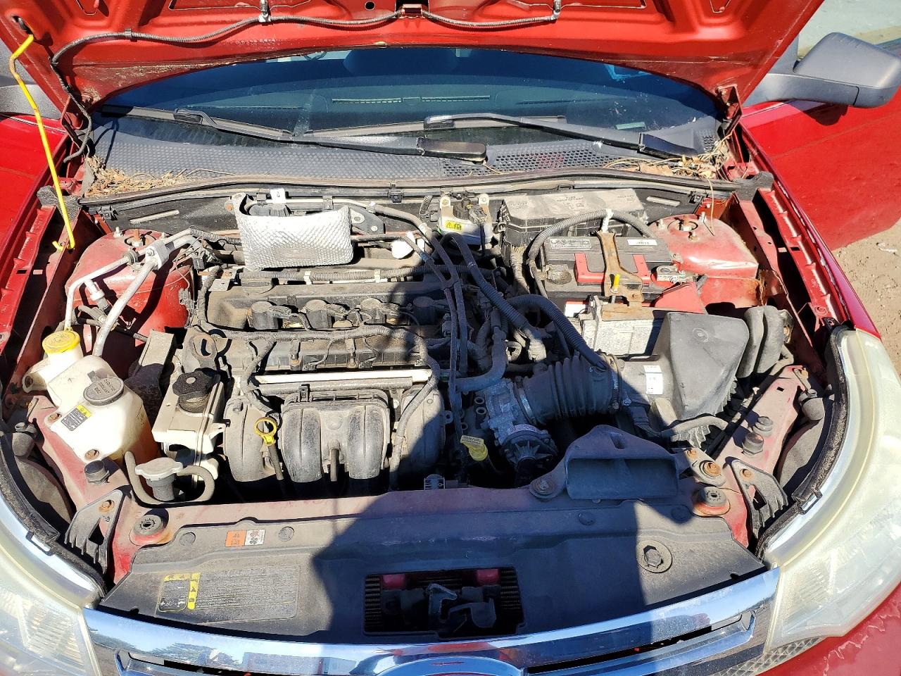 2010 Ford Focus Se Red vin: 1FAHP3FNXAW125451