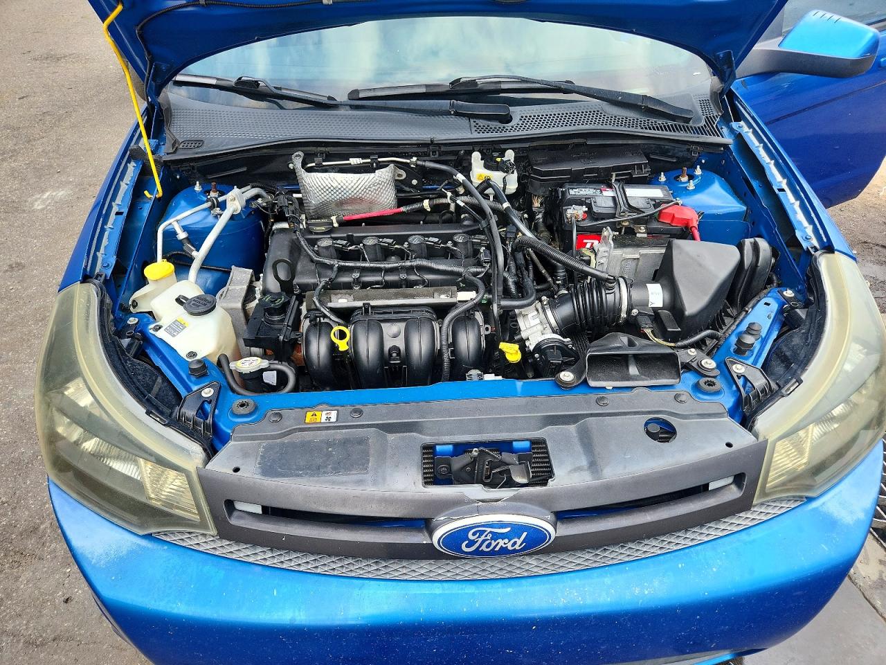 2011 Ford Focus Ses Blue vin: 1FAHP3GN2BW184820