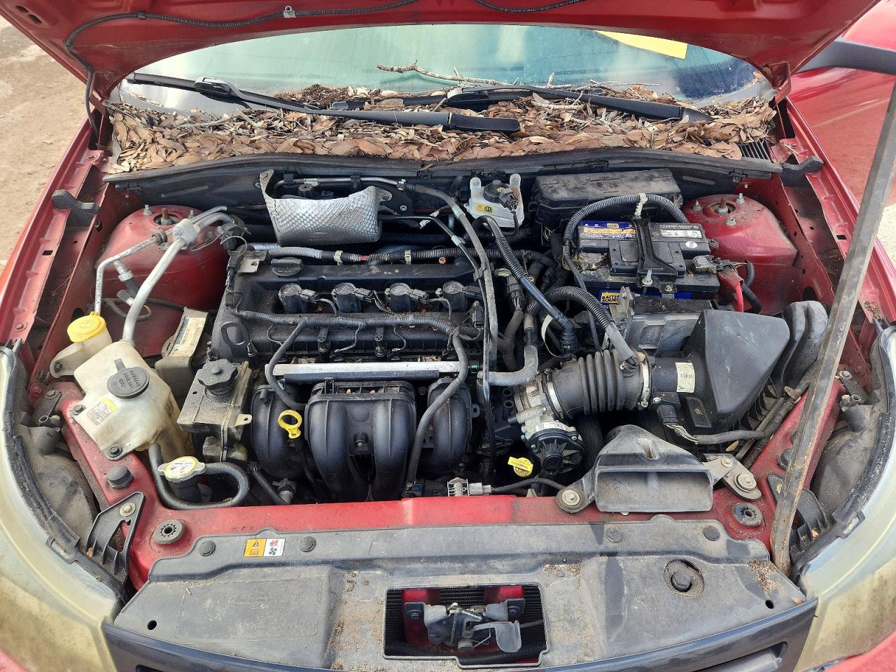 2010 Ford Focus Ses Red vin: 1FAHP3GN4AW182999