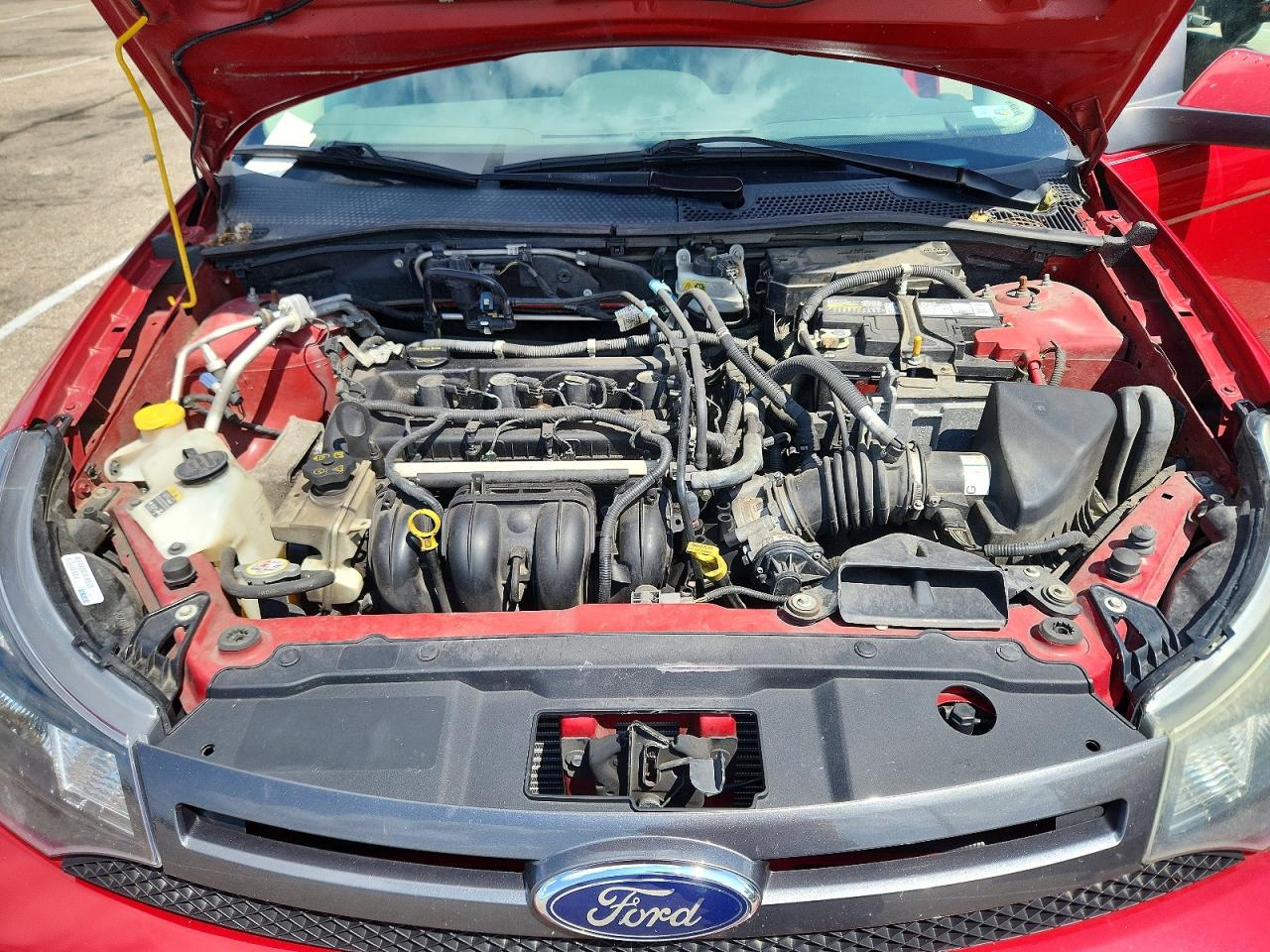 2010 Ford Focus Ses Red vin: 1FAHP3GN7AW183239