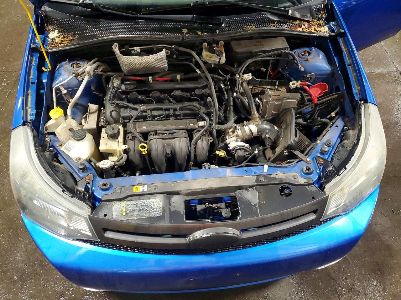 2011 Ford Focus Ses Blue vin: 1FAHP3GN9BW180618