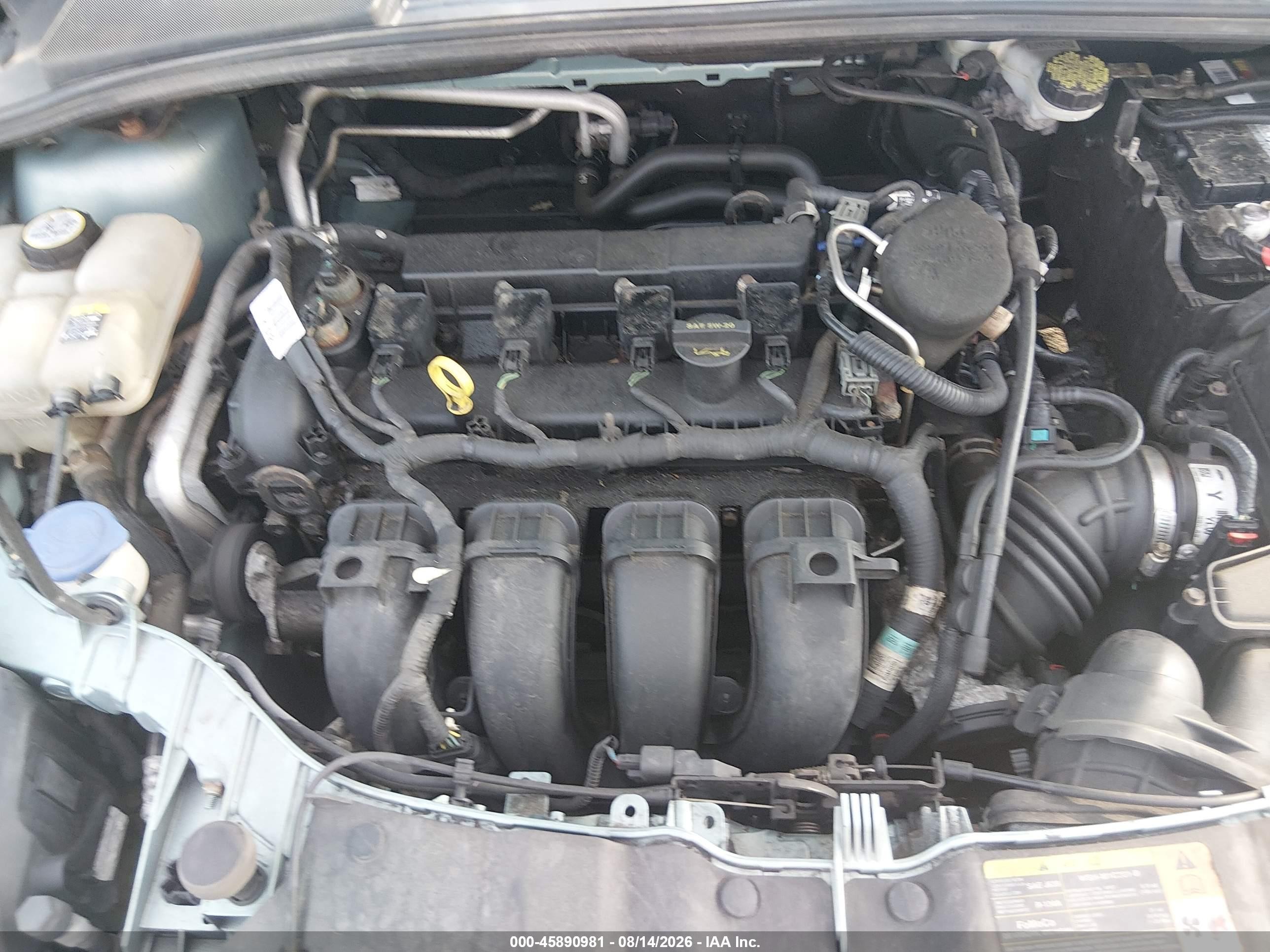 2012 Ford Focus Sel Blue vin: 1FAHP3H20CL287077