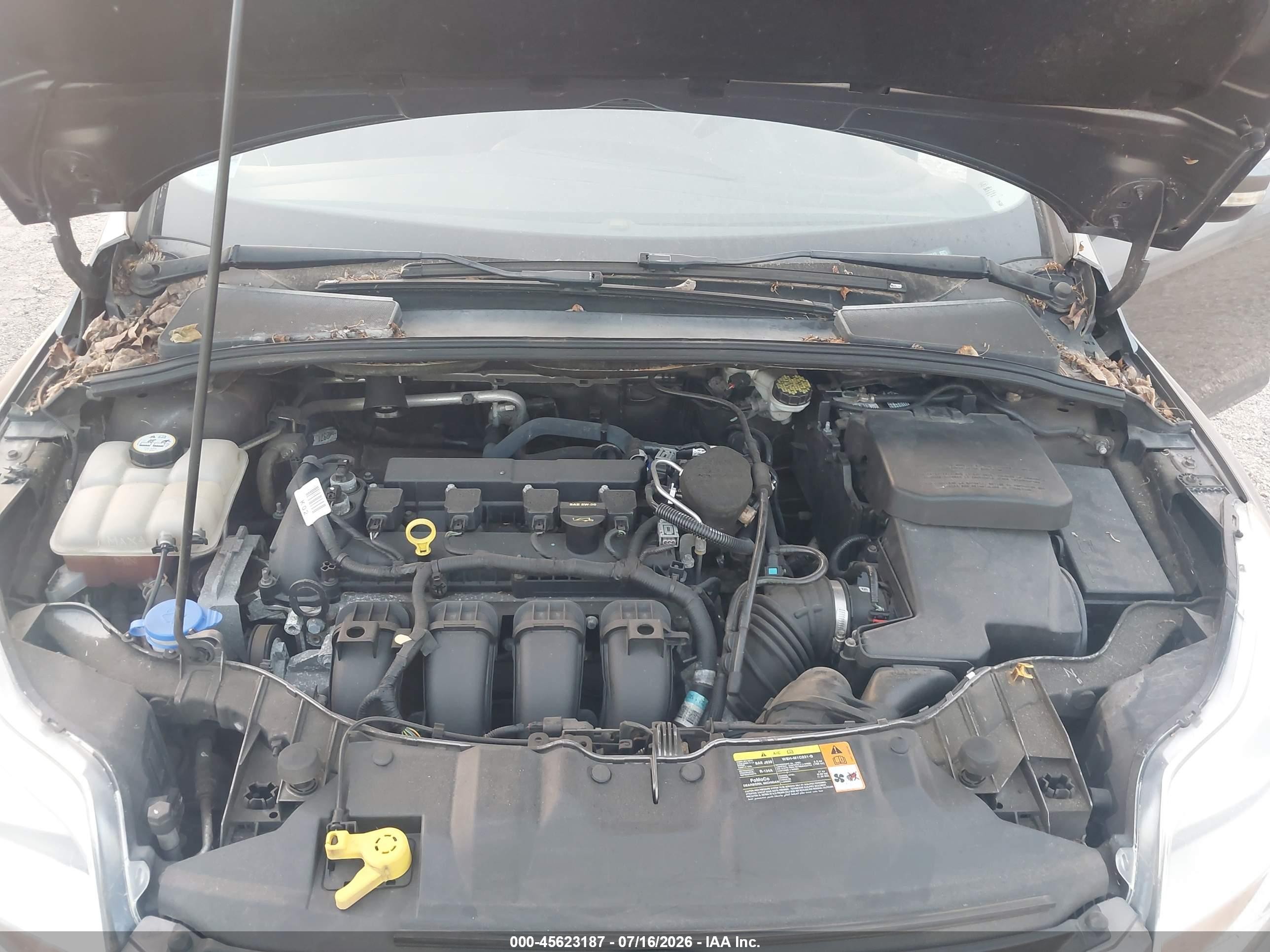 2012 Ford Focus Sel Gray vin: 1FAHP3H20CL463142
