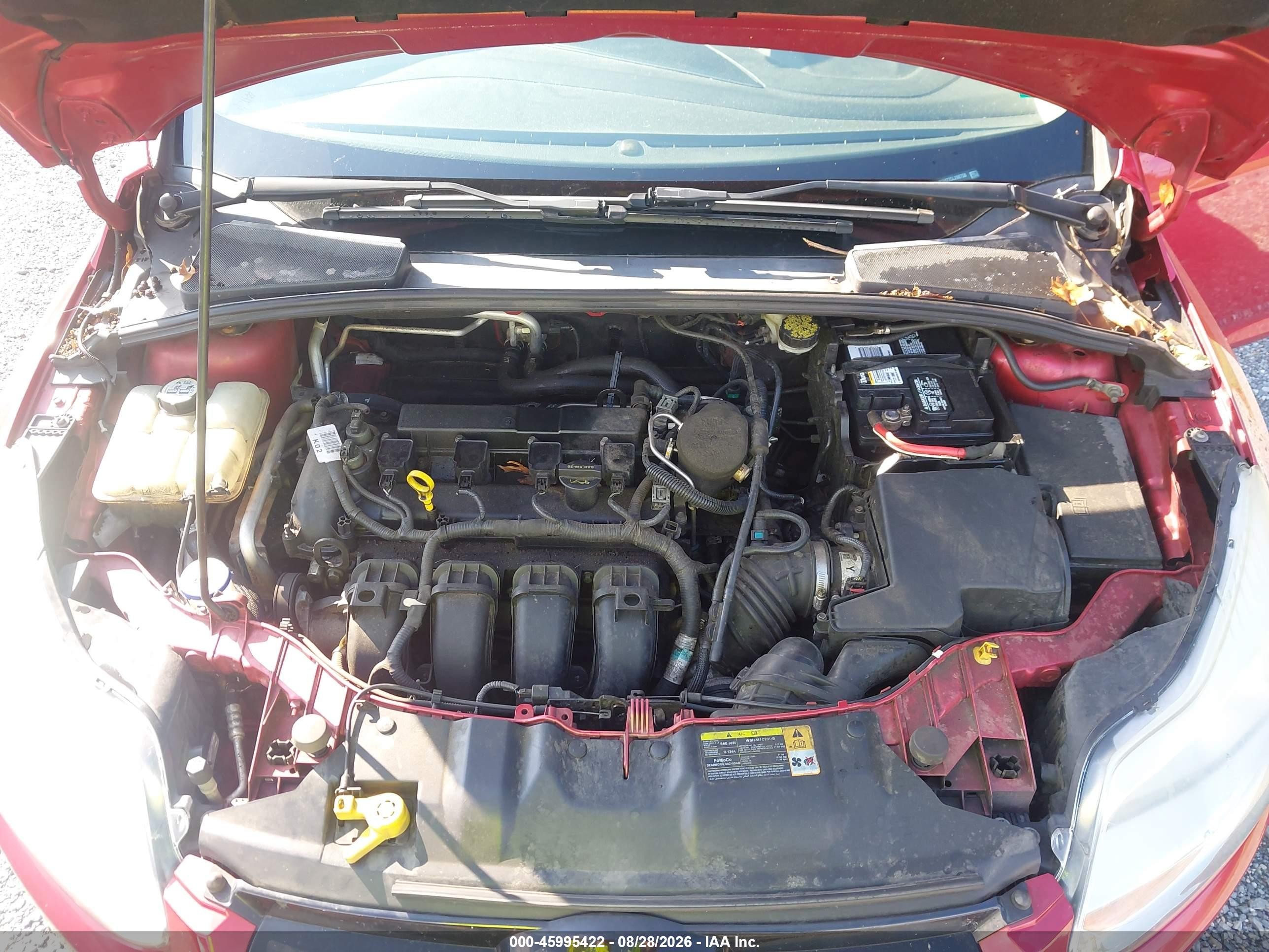 2012 Ford Focus Sel Red vin: 1FAHP3H22CL298758