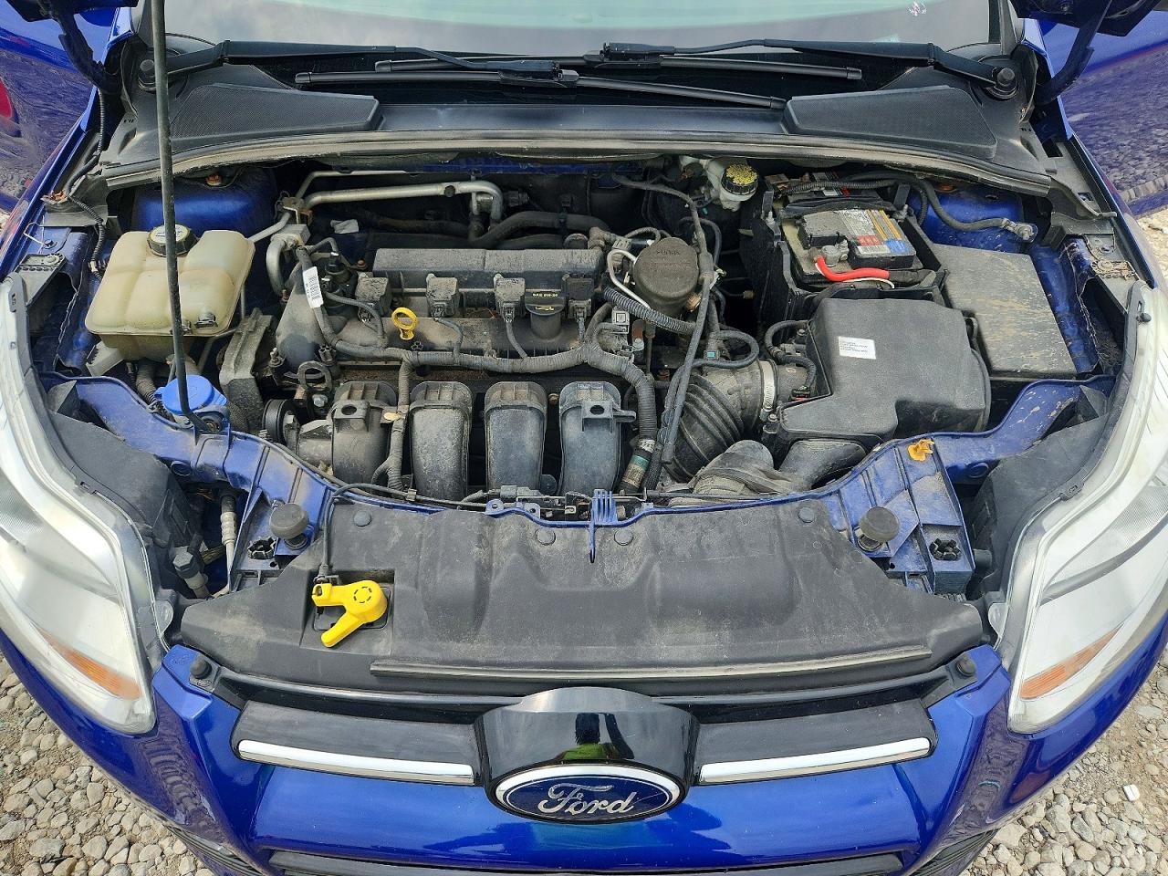 2012 Ford Focus Sel Blue vin: 1FAHP3H22CL395040