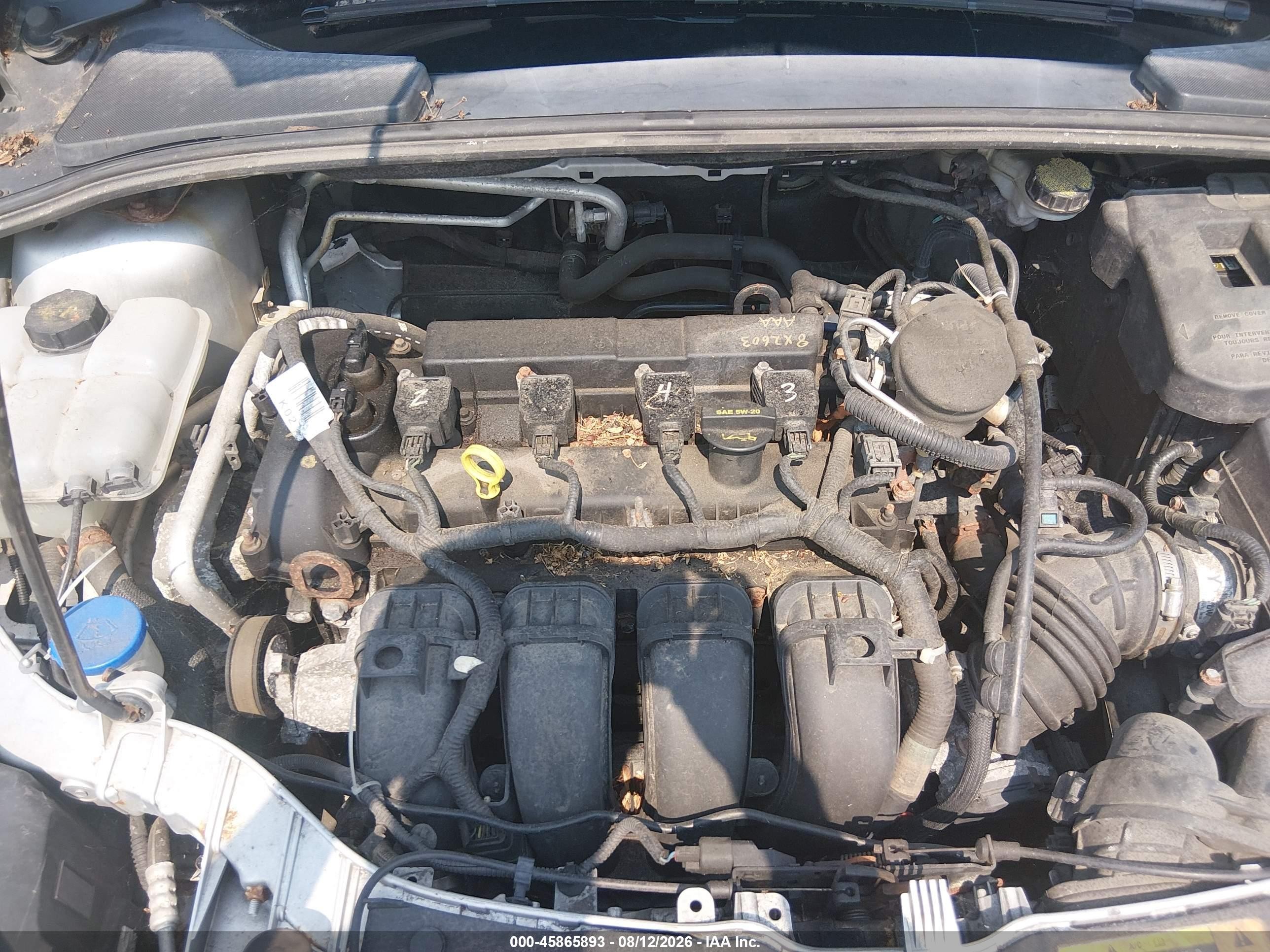 2012 Ford Focus Sel Silver vin: 1FAHP3H27CL266484