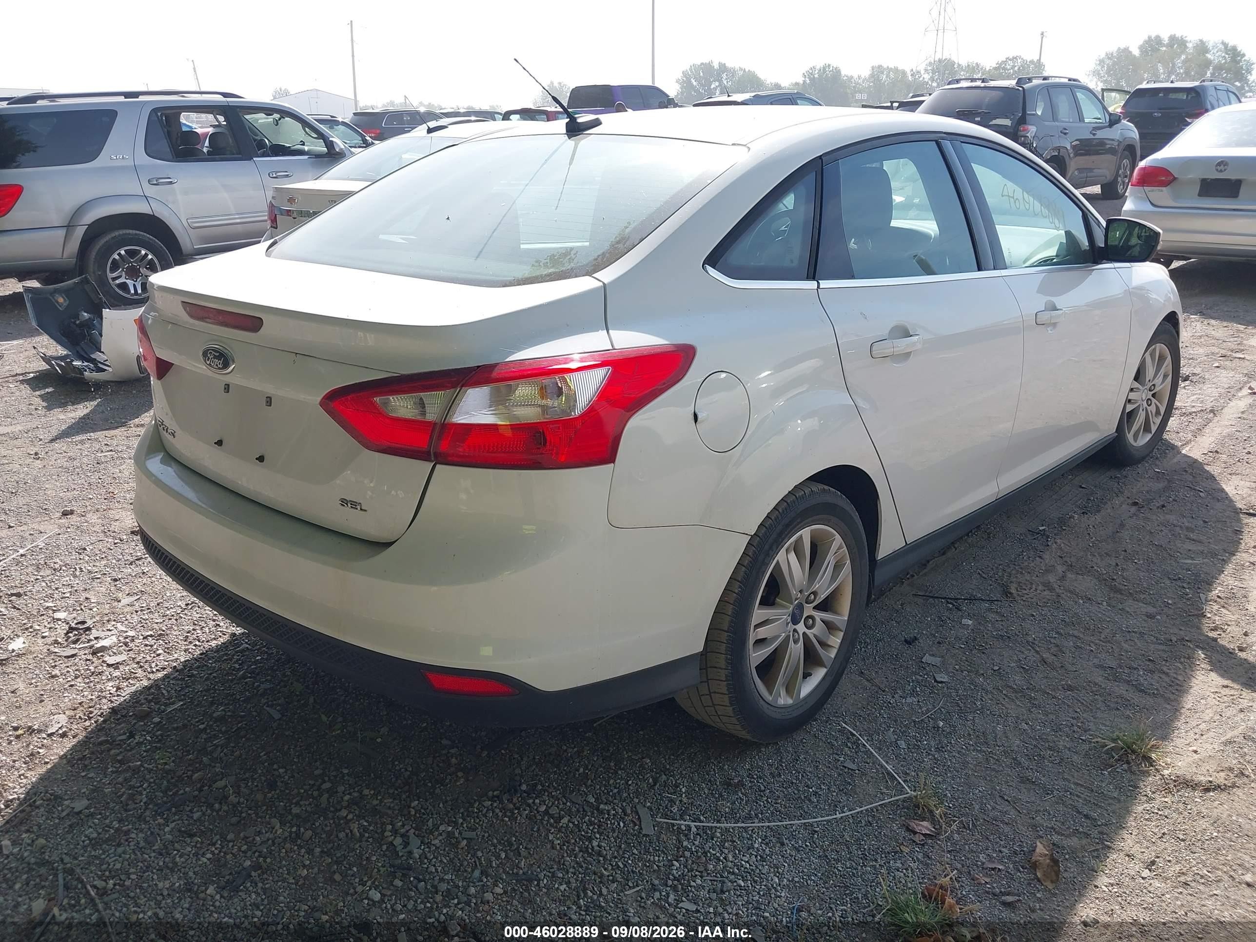 2012 Ford Focus Sel Белый vin: 1FAHP3H27CL363233