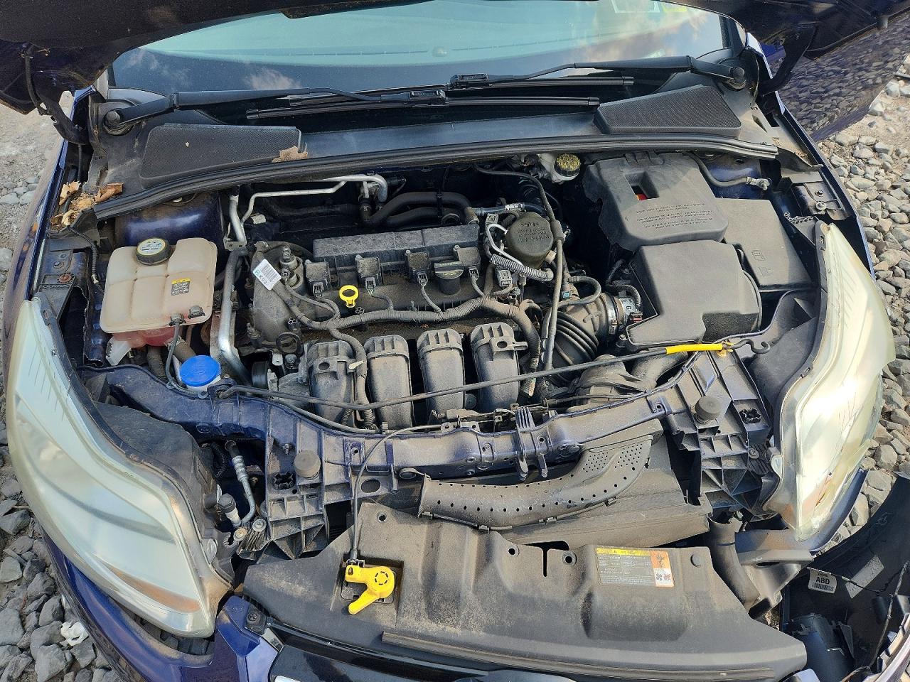 2012 Ford Focus Sel Blue vin: 1FAHP3H28CL149707