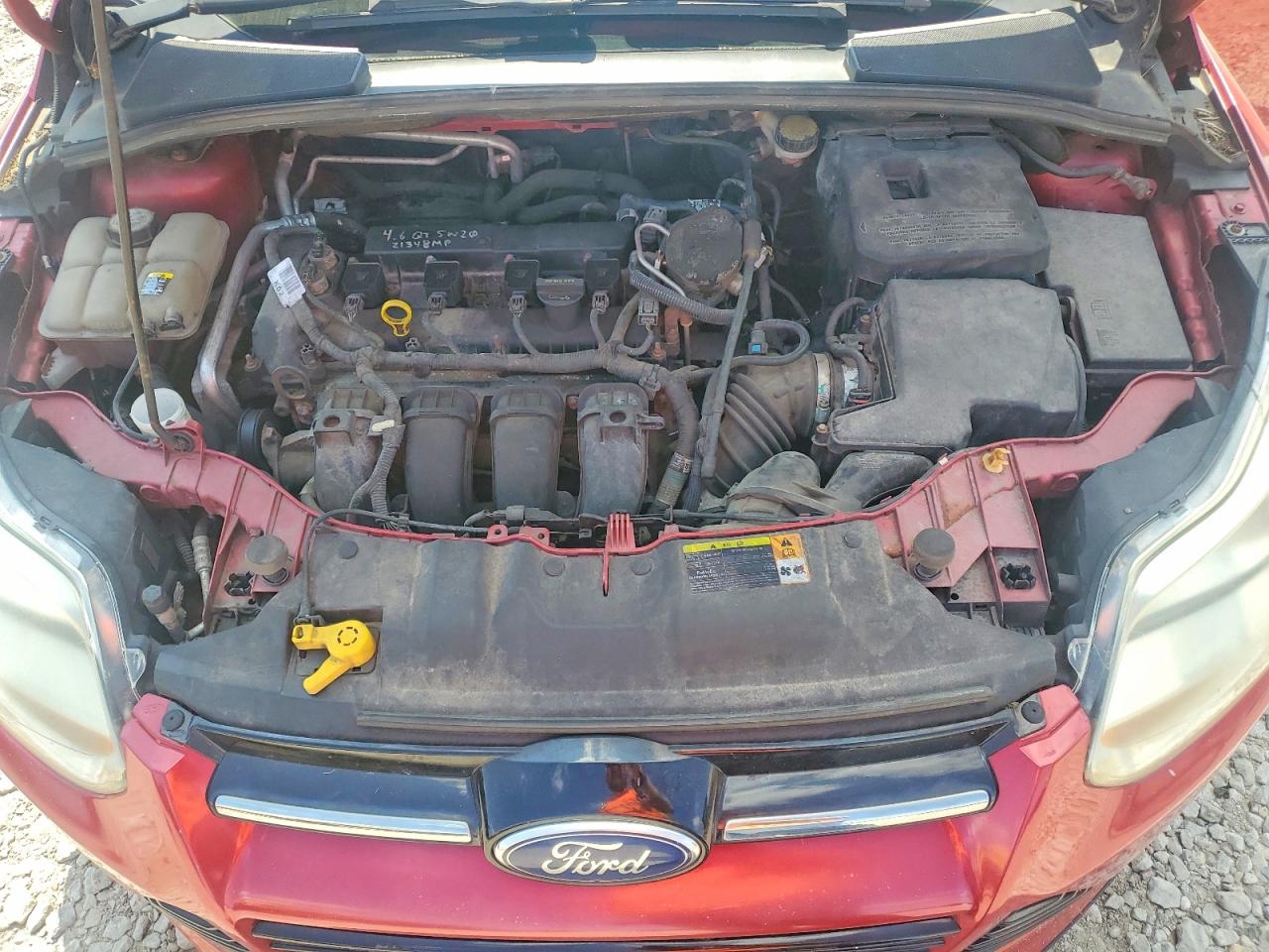 2012 Ford Focus Sel Red vin: 1FAHP3H29CL294237