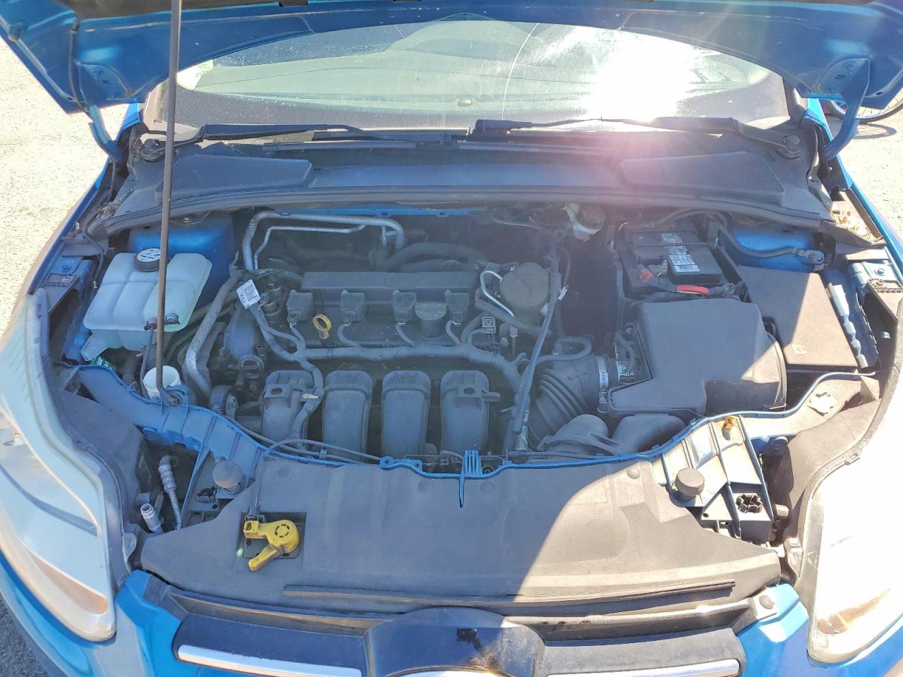 2012 Ford Focus Sel Blue vin: 1FAHP3H2XCL163219