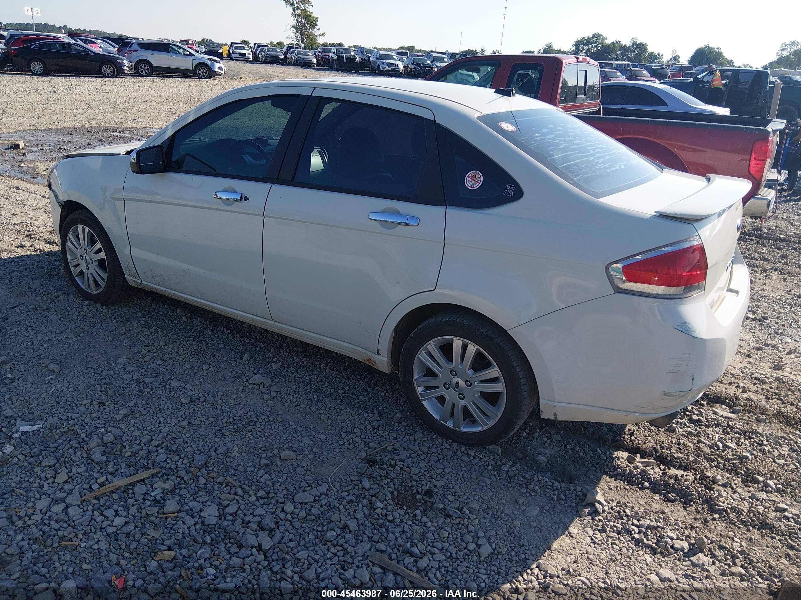 2010 Ford Focus Sel Белый vin: 1FAHP3HN1AW264655