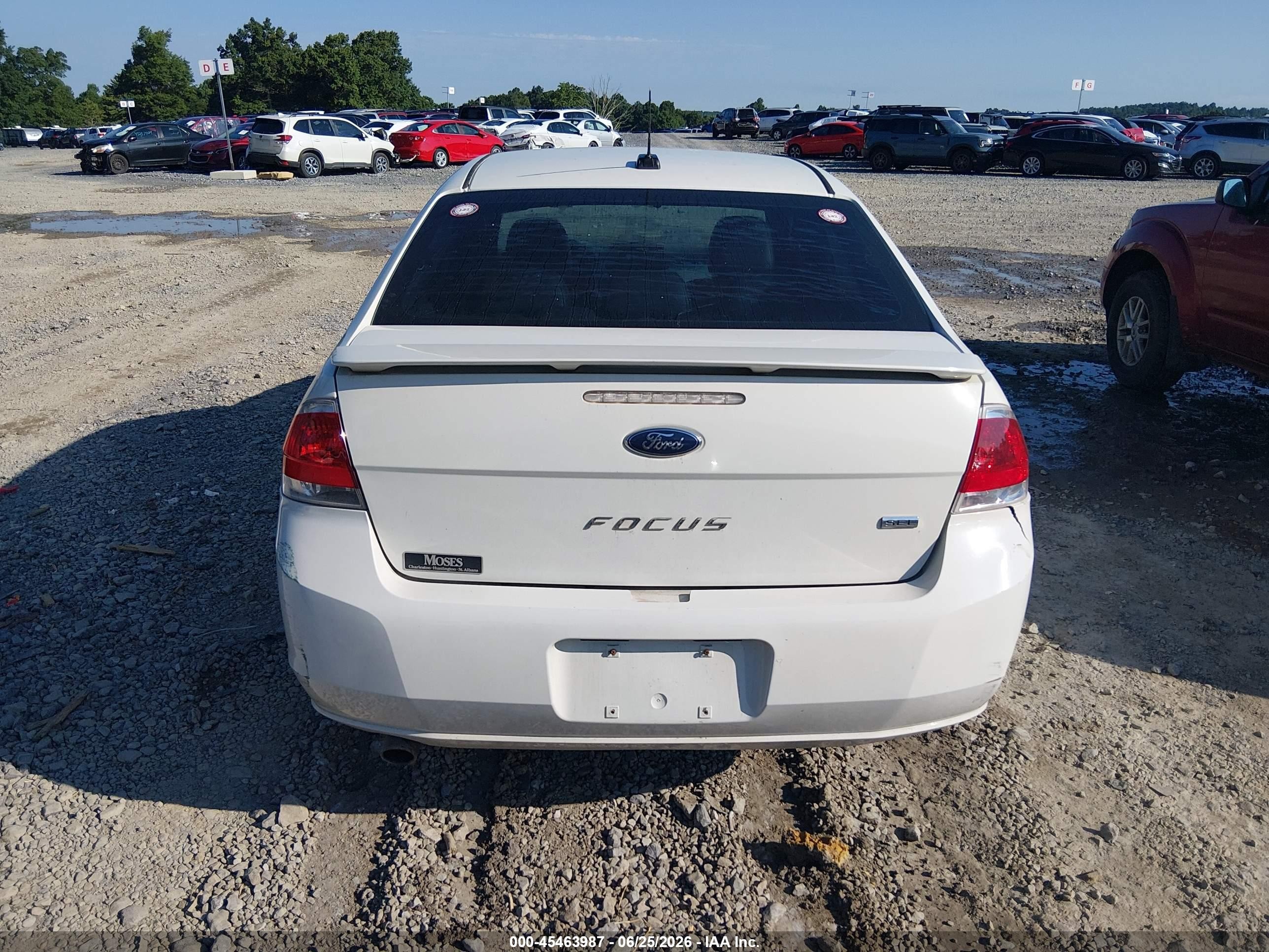 2010 Ford Focus Sel Белый vin: 1FAHP3HN1AW264655