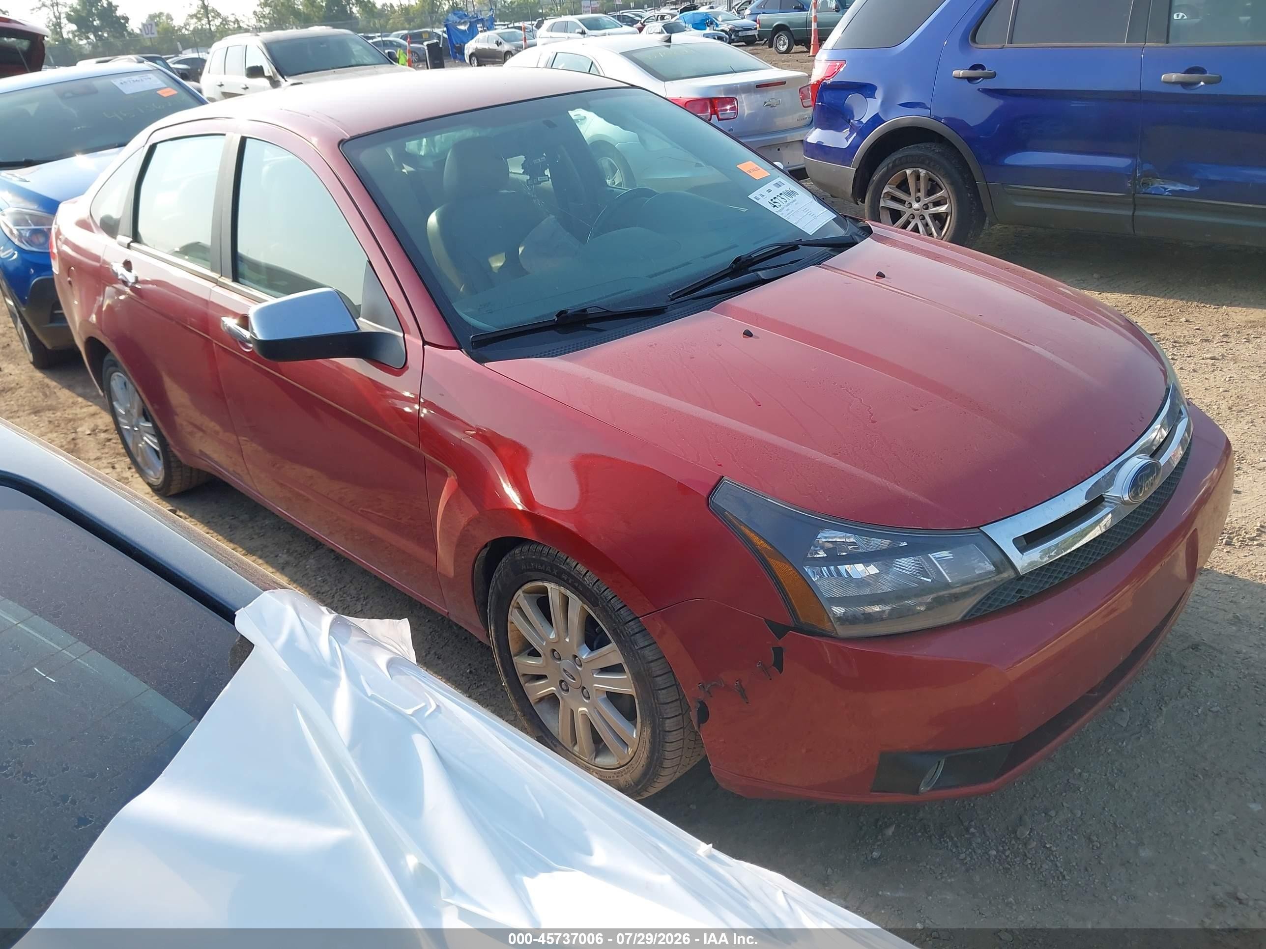 2010 Ford Focus Sel Red vin: 1FAHP3HN3AW172947