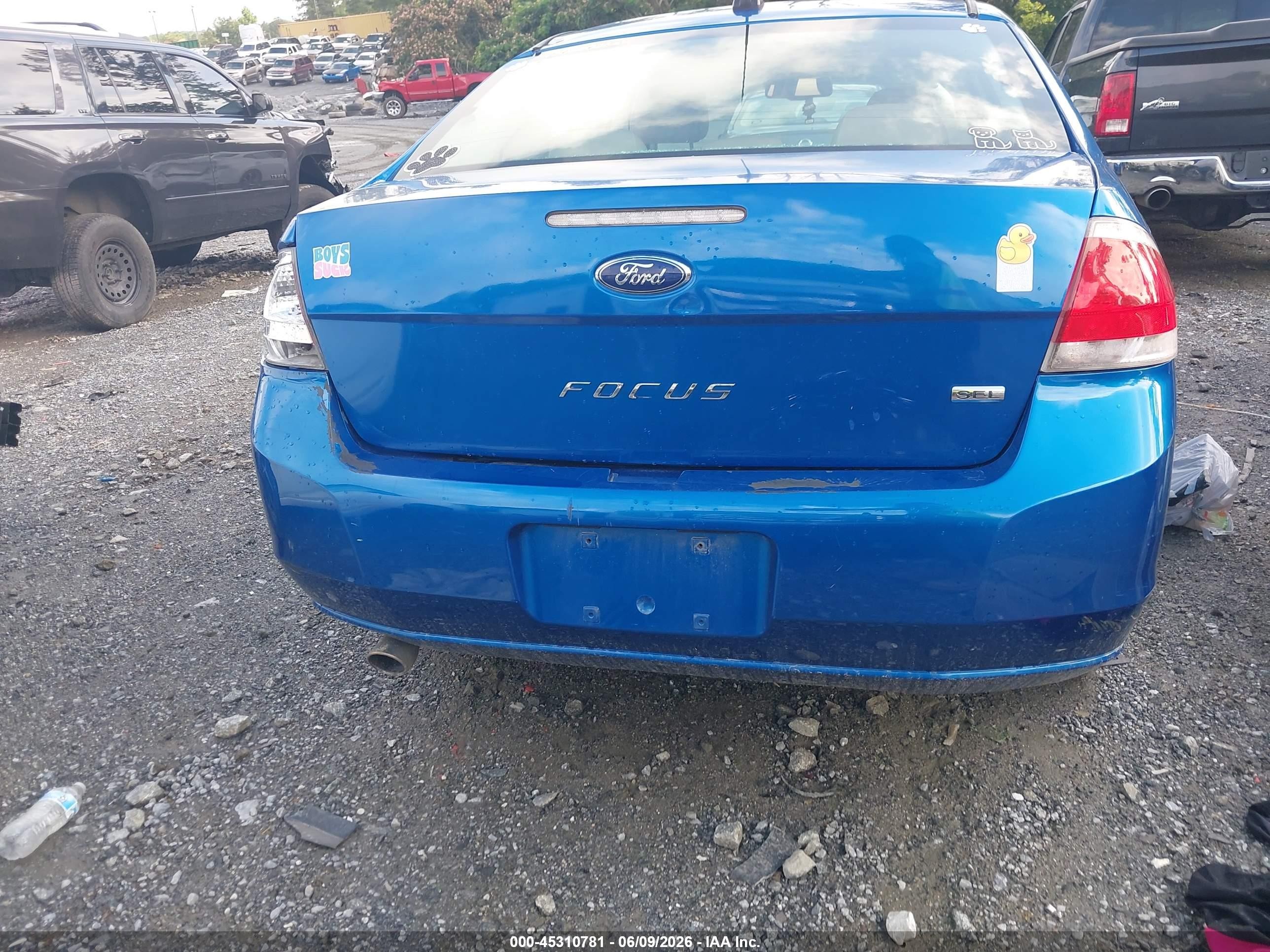 2010 Ford Focus Sel Blue vin: 1FAHP3HN4AW195699