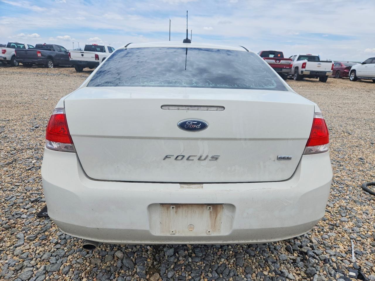 2011 Ford Focus Sel Белый vin: 1FAHP3HN4BW191010