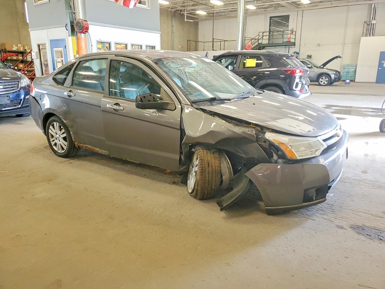 2010 Ford Focus Sel Gray vin: 1FAHP3HN5AW264142