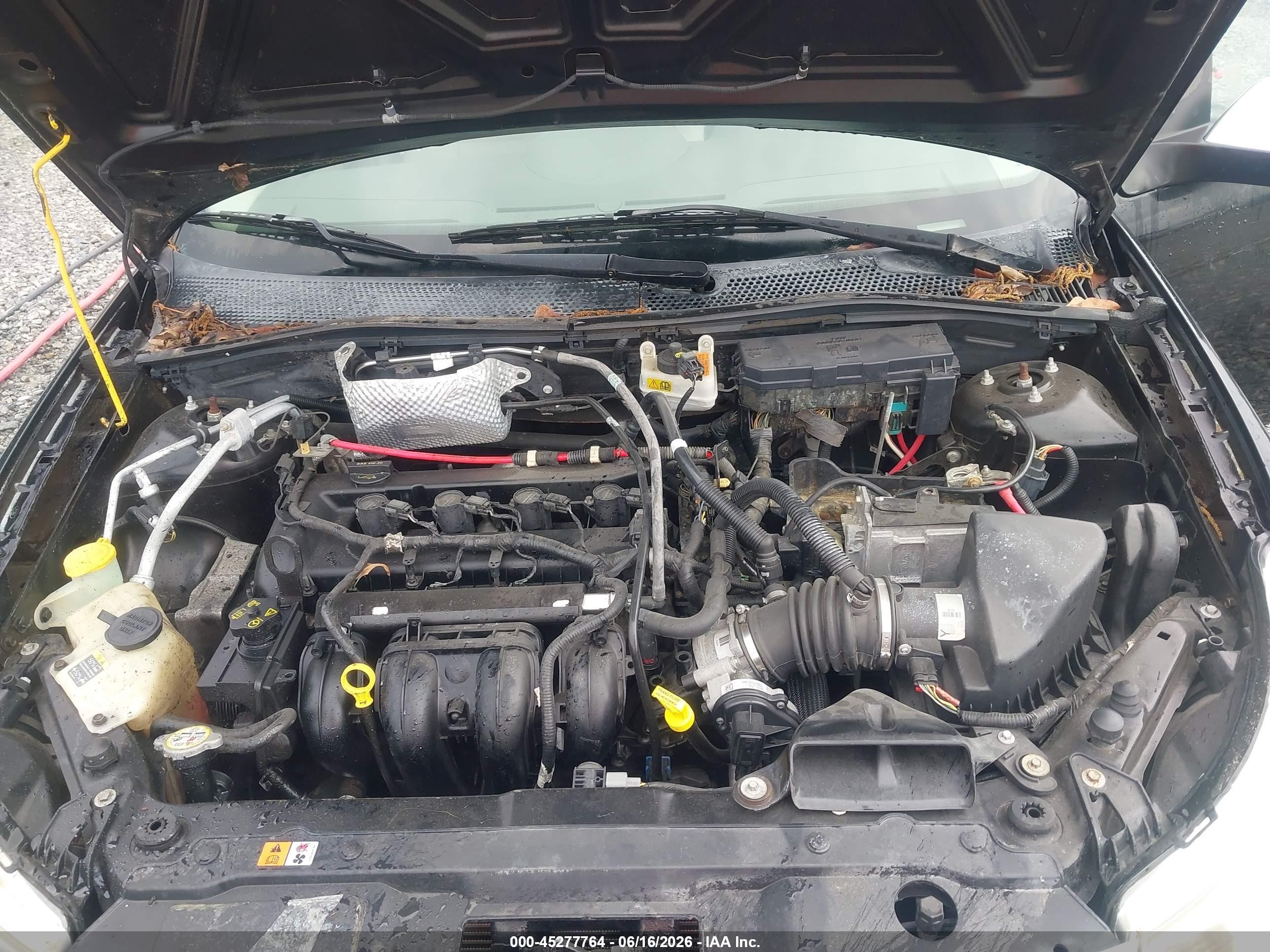 2011 Ford Focus Sel Черный vin: 1FAHP3HN5BW187418