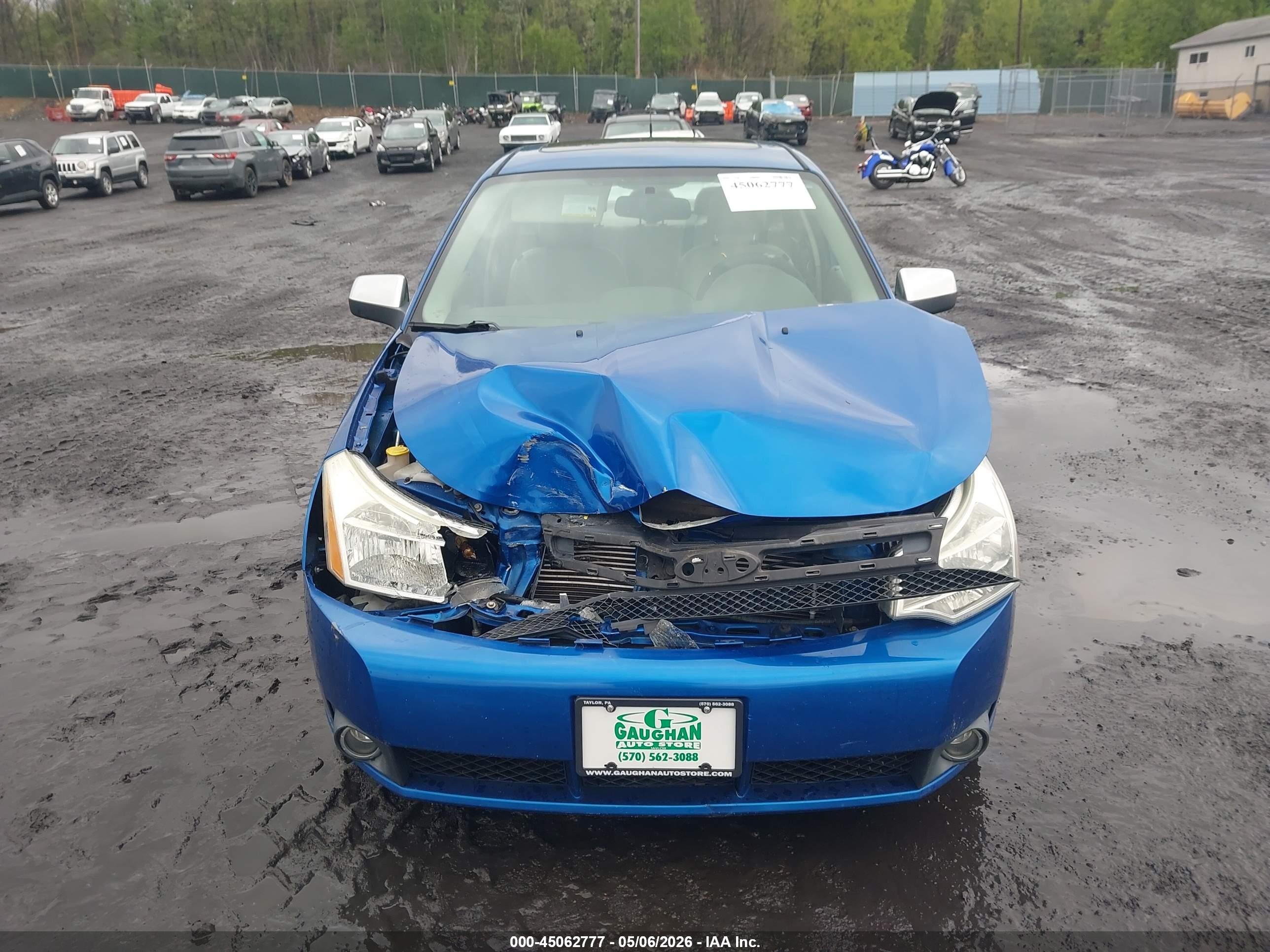2010 Ford Focus Sel Синий vin: 1FAHP3HN6AW120406
