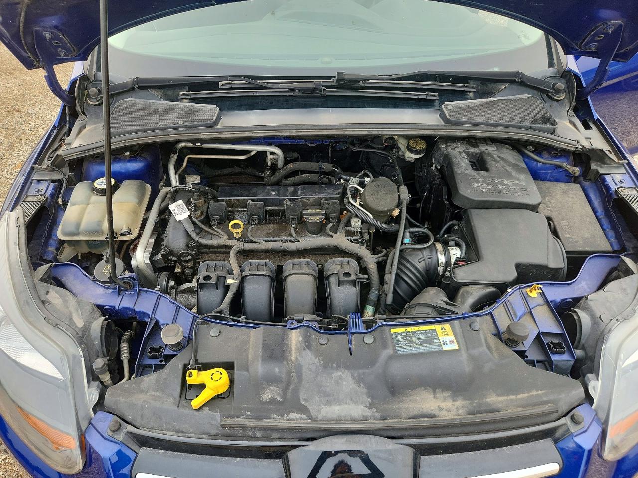 2012 Ford Focus Titanium Blue vin: 1FAHP3J26CL303941