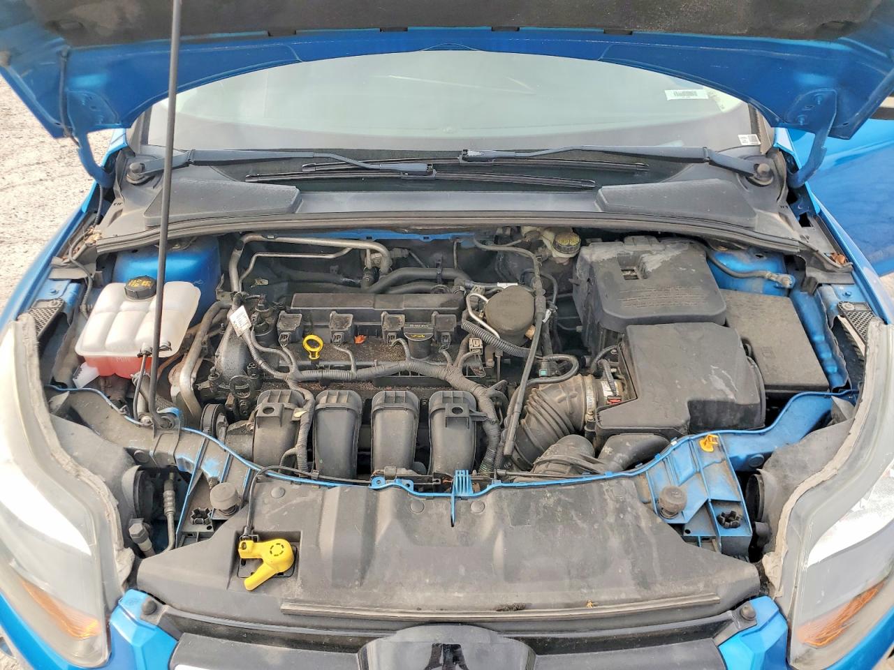 2012 Ford Focus Titanium Blue vin: 1FAHP3J28CL188713