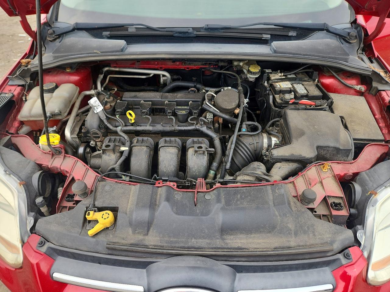 2012 Ford Focus Se Red vin: 1FAHP3K24CL274356