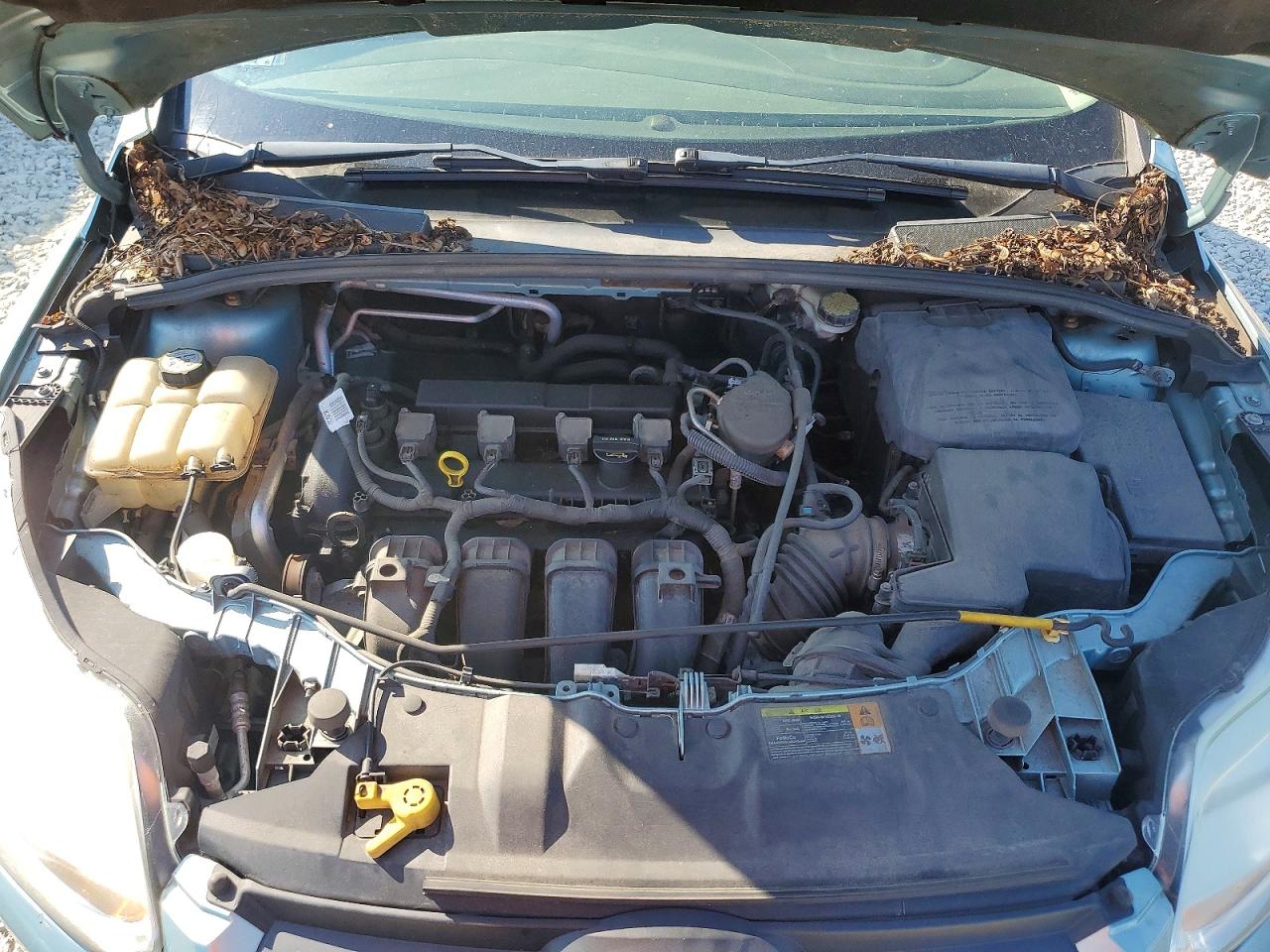 2012 Ford Focus Se Blue vin: 1FAHP3K2XCL351585