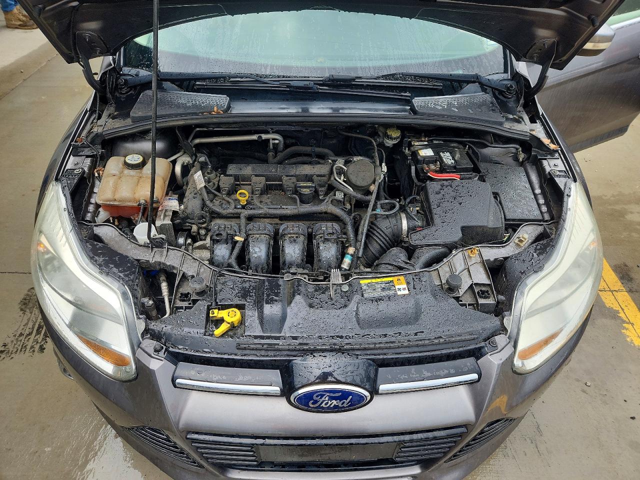 2012 Ford Focus Sel Gray vin: 1FAHP3M20CL434424
