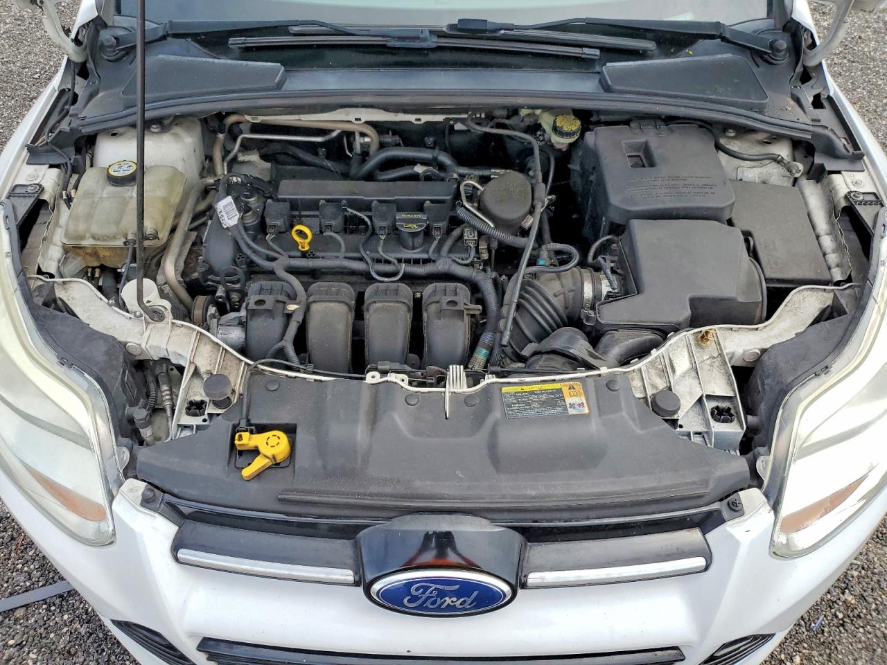 2012 Ford Focus Sel Белый vin: 1FAHP3M21CL287868