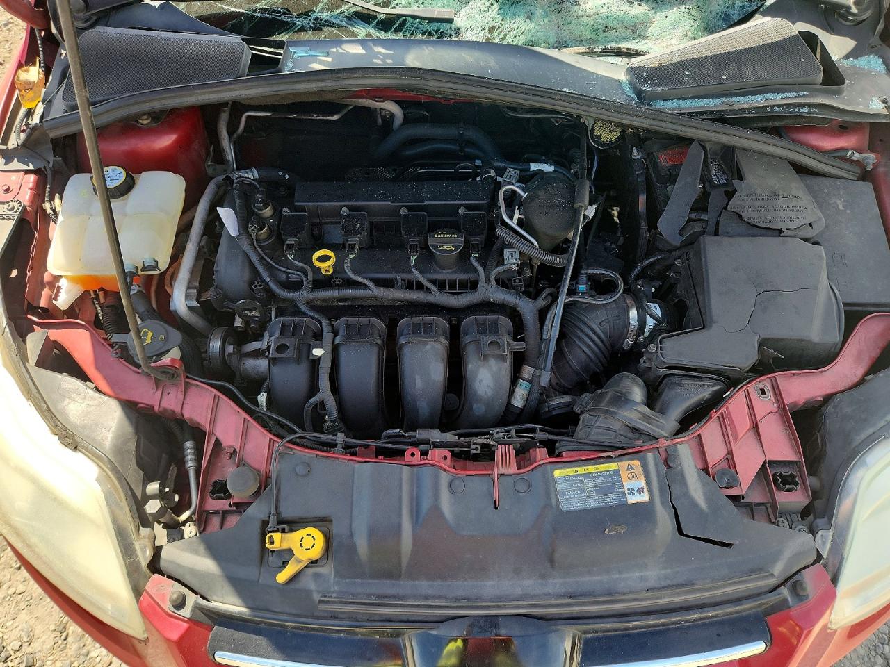 2012 Ford Focus Sel Red vin: 1FAHP3M24CL236784