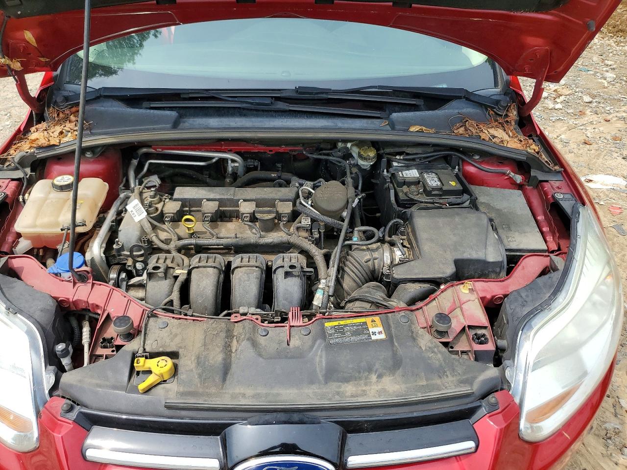2012 Ford Focus Sel Red vin: 1FAHP3M24CL302380