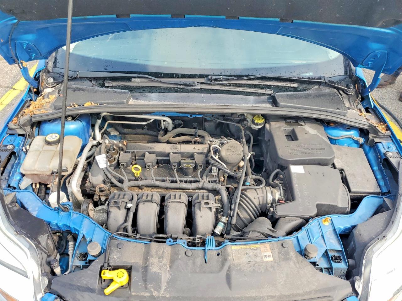 2012 Ford Focus Sel Blue vin: 1FAHP3M27CL256608