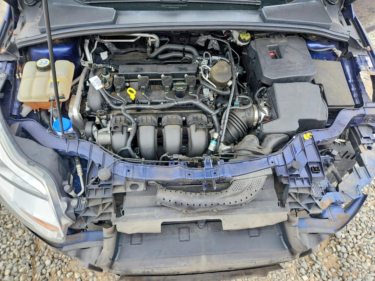 2012 Ford Focus Sel Blue vin: 1FAHP3M2XCL158723