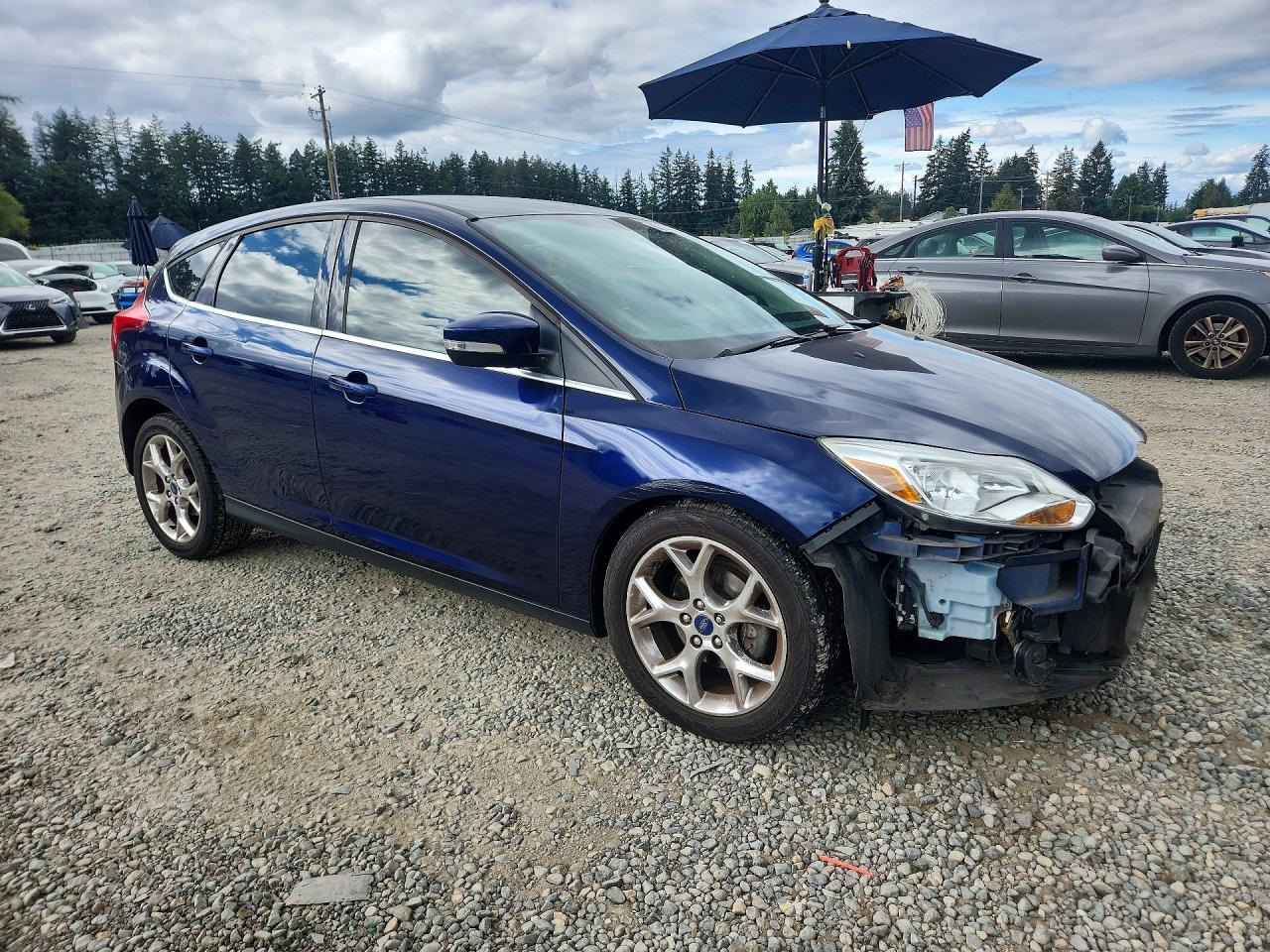 2012 Ford Focus Sel Blue vin: 1FAHP3M2XCL158723