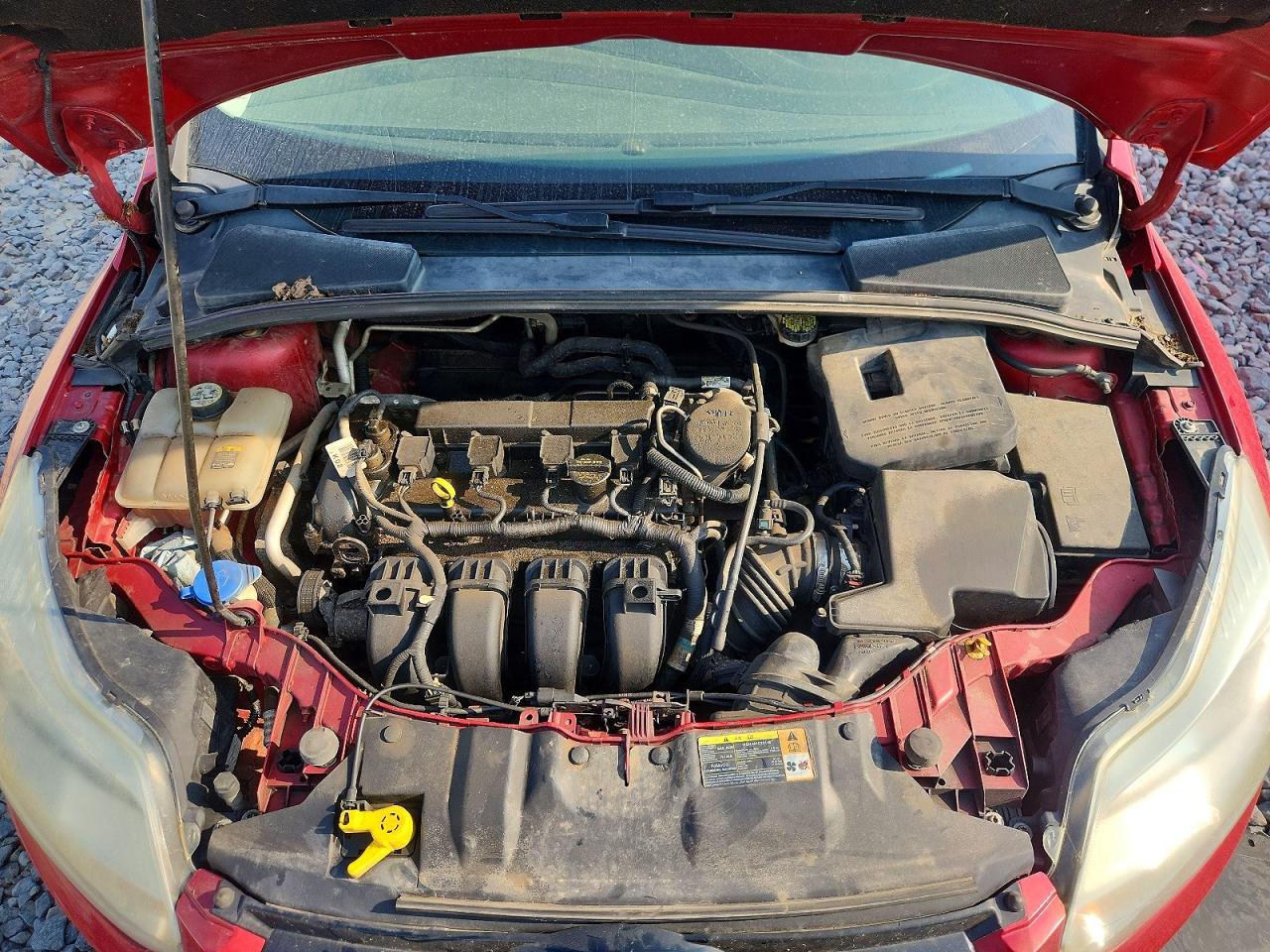 2012 Ford Focus Sel Red vin: 1FAHP3M2XCL255078