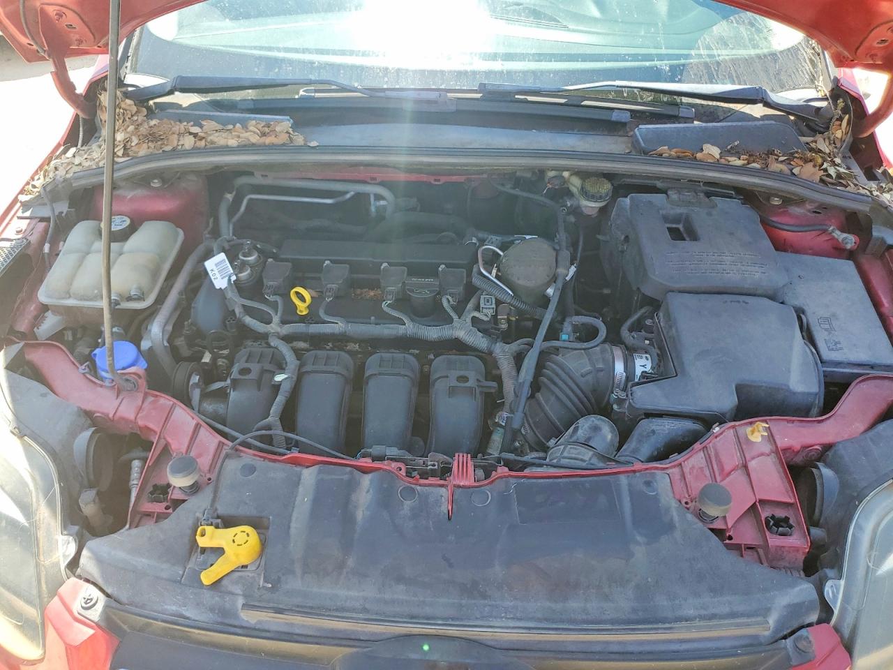2012 Ford Focus Titanium Red vin: 1FAHP3N20CL235176