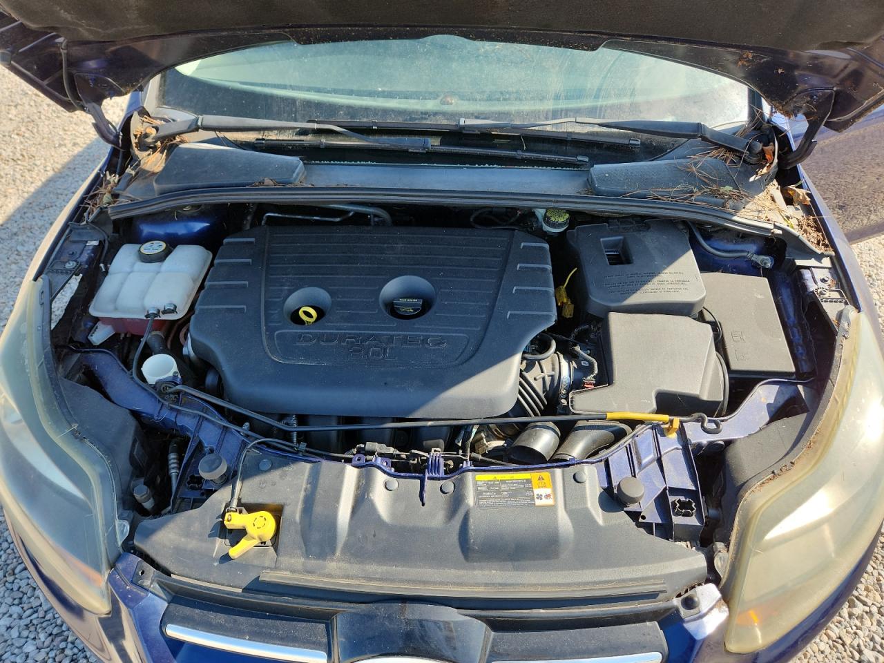2012 Ford Focus Titanium Blue vin: 1FAHP3N24CL111024