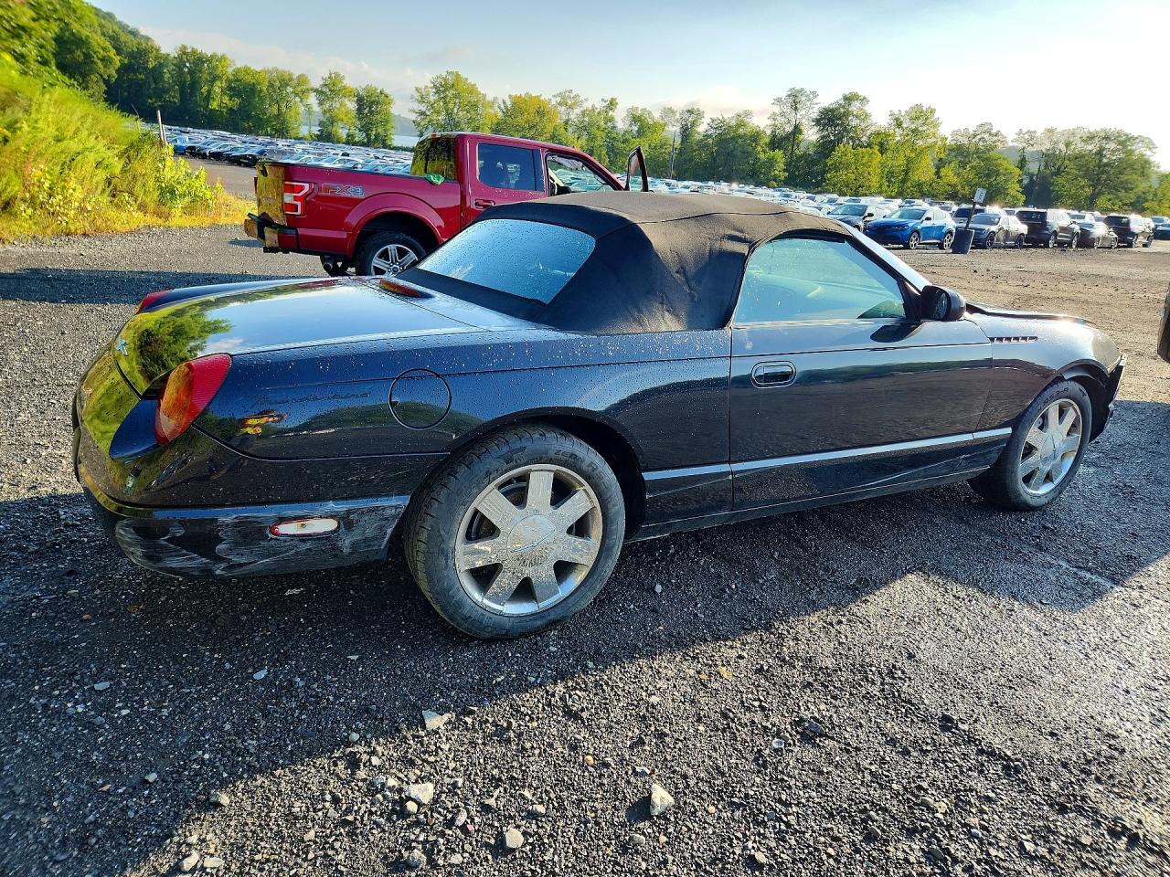 2002 Ford Thunderbird Black vin: 1FAHP60AX2Y120294