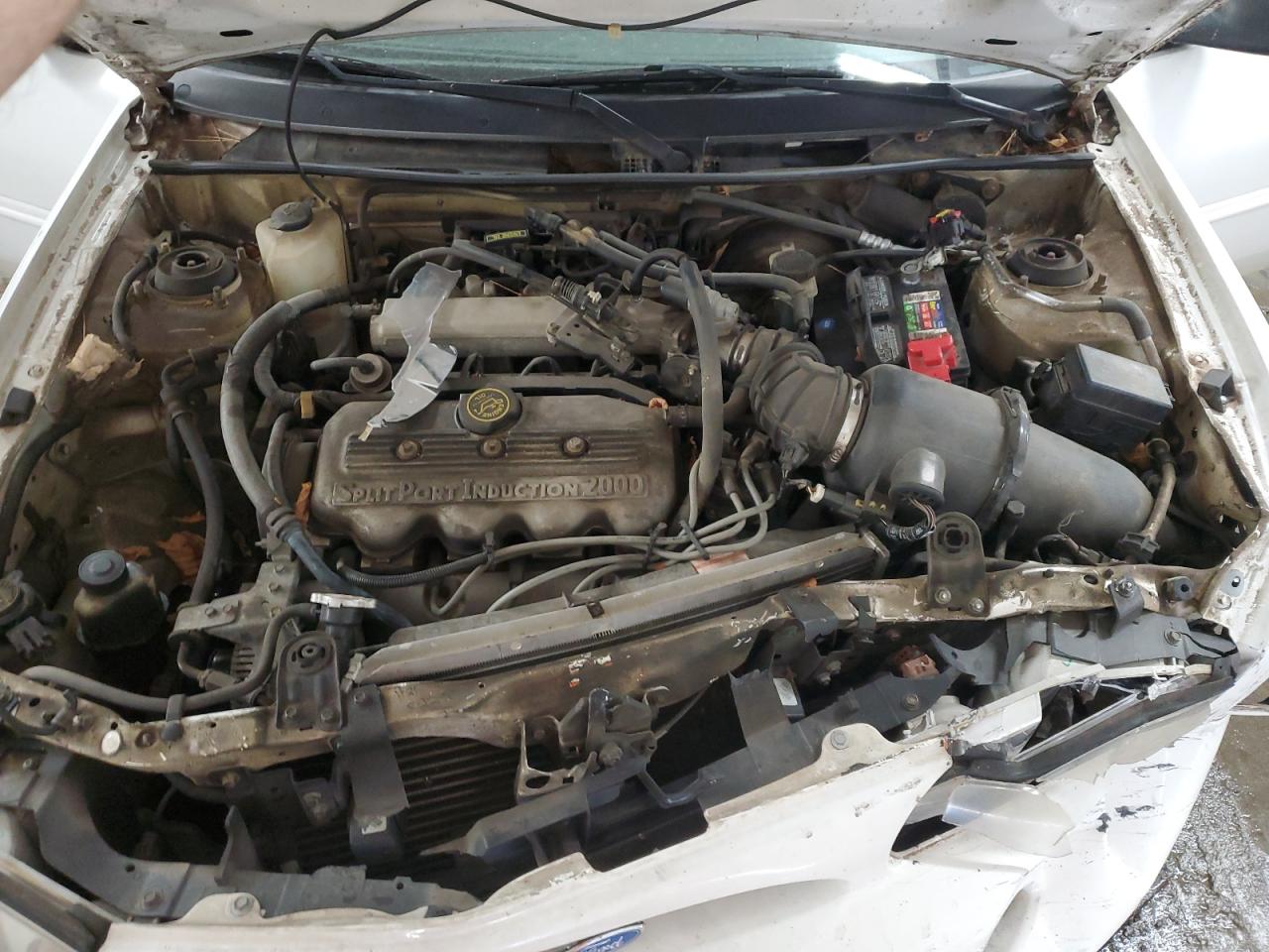 1997 Ford Escort Lx White vin: 1FALP13P3VW360820