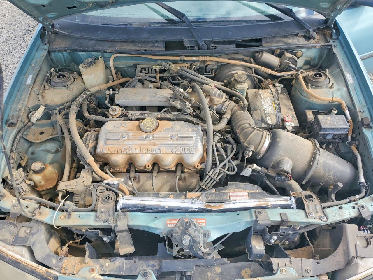 1997 Ford Escort Lx Turquoise vin: 1FALP13P5VW270438