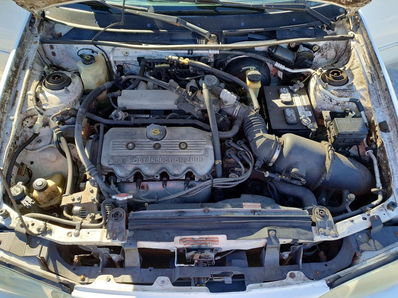 1997 Ford Escort Lx Белый vin: 1FALP13P8VW163402