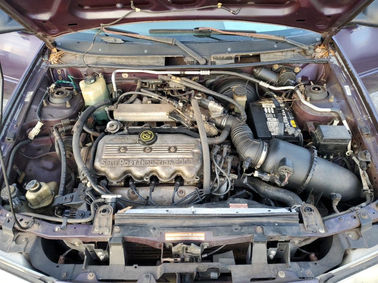 1997 Ford Escort Lx Purple vin: 1FALP13P9VW168592